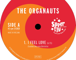 The Organauts - I Feel Love